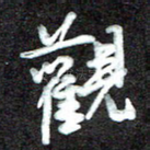 观