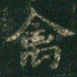 禽