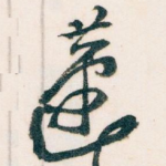 蘧