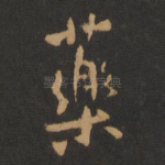药
