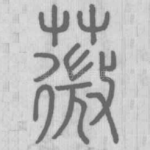 薇