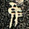隹