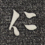 仁