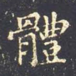 体