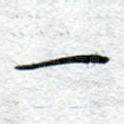 一