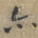 亦