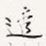透