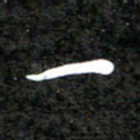 一