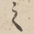 之