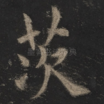 茨