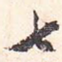 七
