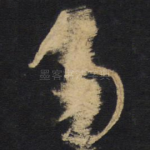 多