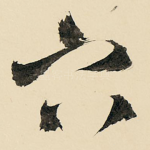 穴