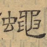 蝇