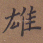 雄