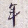 年