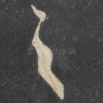 之