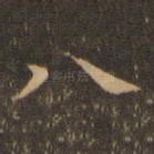 八