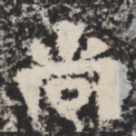 尚