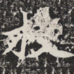 枝