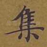 集