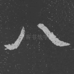 八