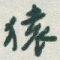 猿
