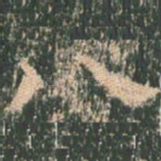 八