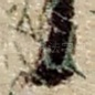 首