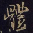 体