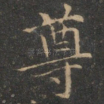 尊