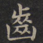 齿