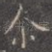 尔