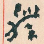 體
