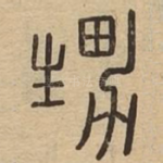 甥