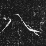 八