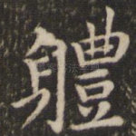 体