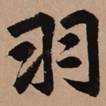 羽
