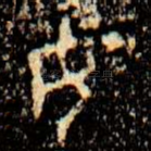 女