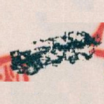 一