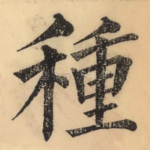 種