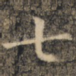 七