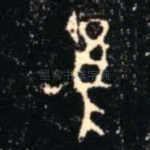 隹