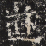 道