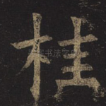 桂