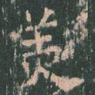 美