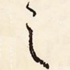 之