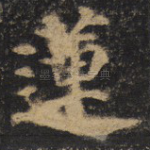 莲