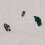 八
