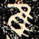 隹